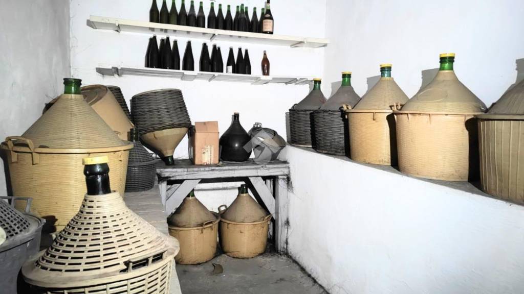 immagine annuncio 10 di 11