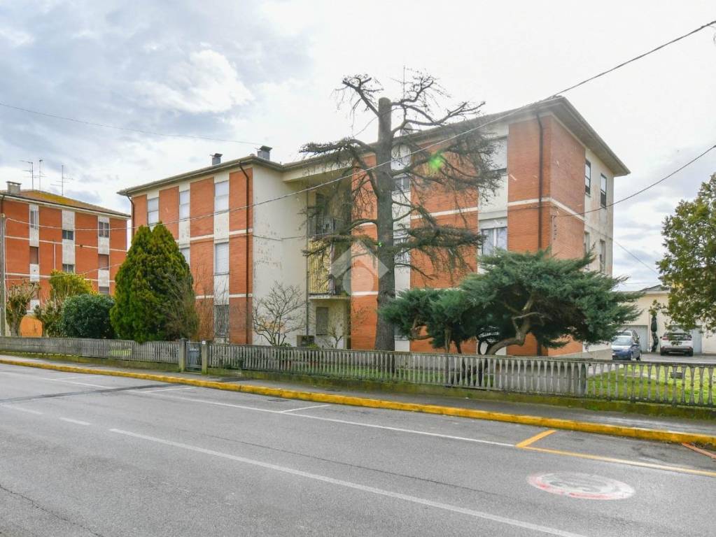 immagine annuncio 2 di 6