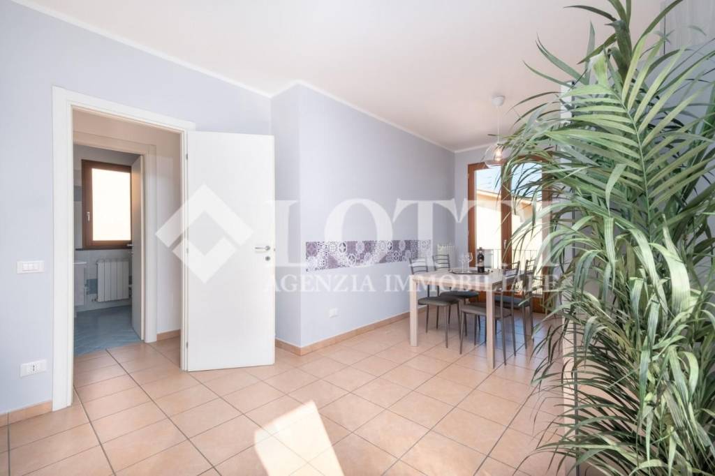 immagine annuncio 5 di 13