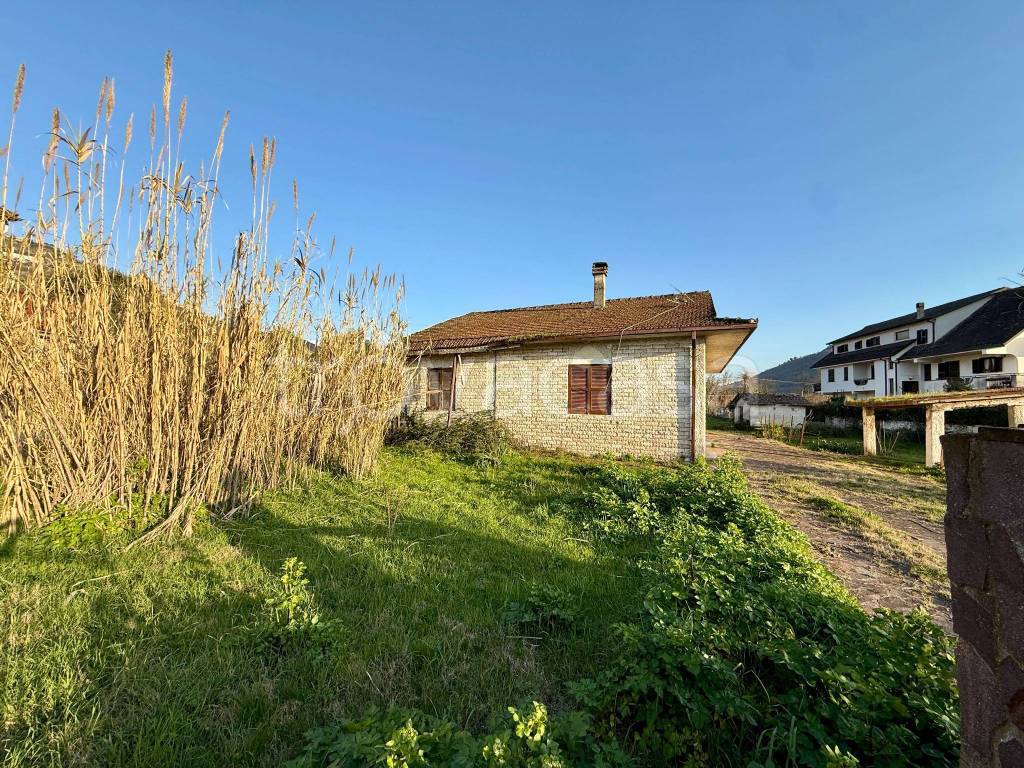 immagine annuncio 1 di 7