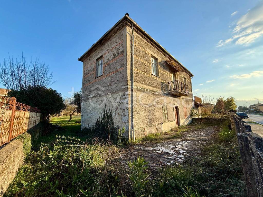 immagine annuncio 3 di 7