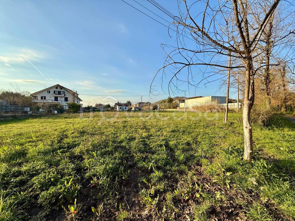 immagine annuncio 4 di 7