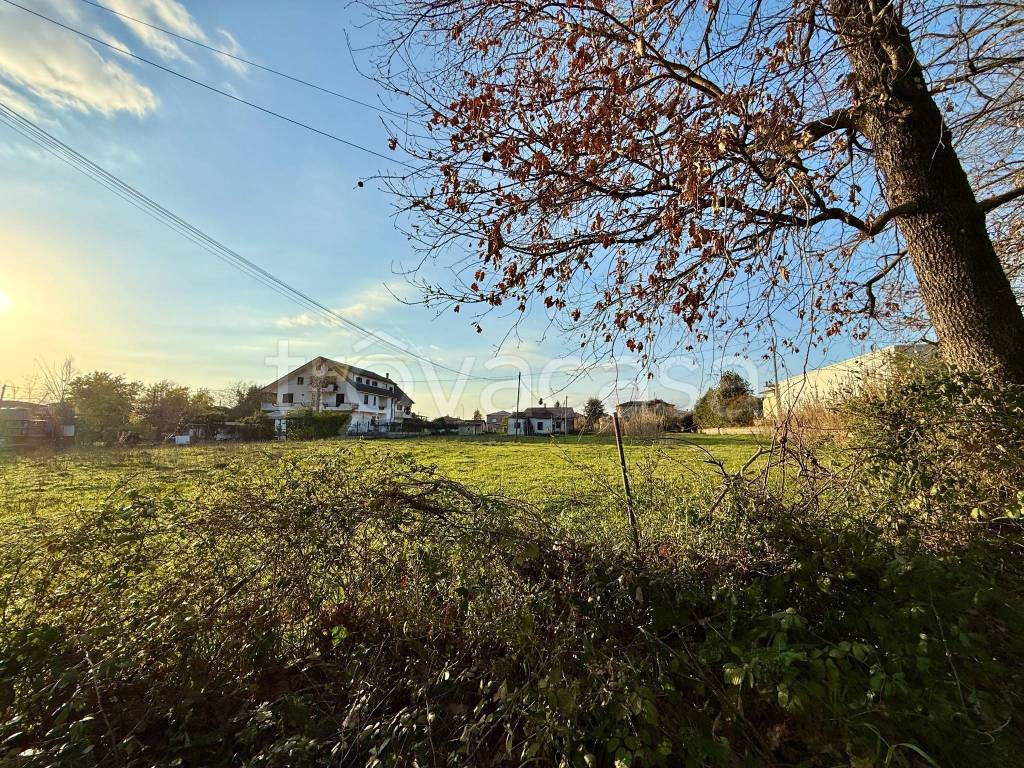 immagine annuncio 5 di 7