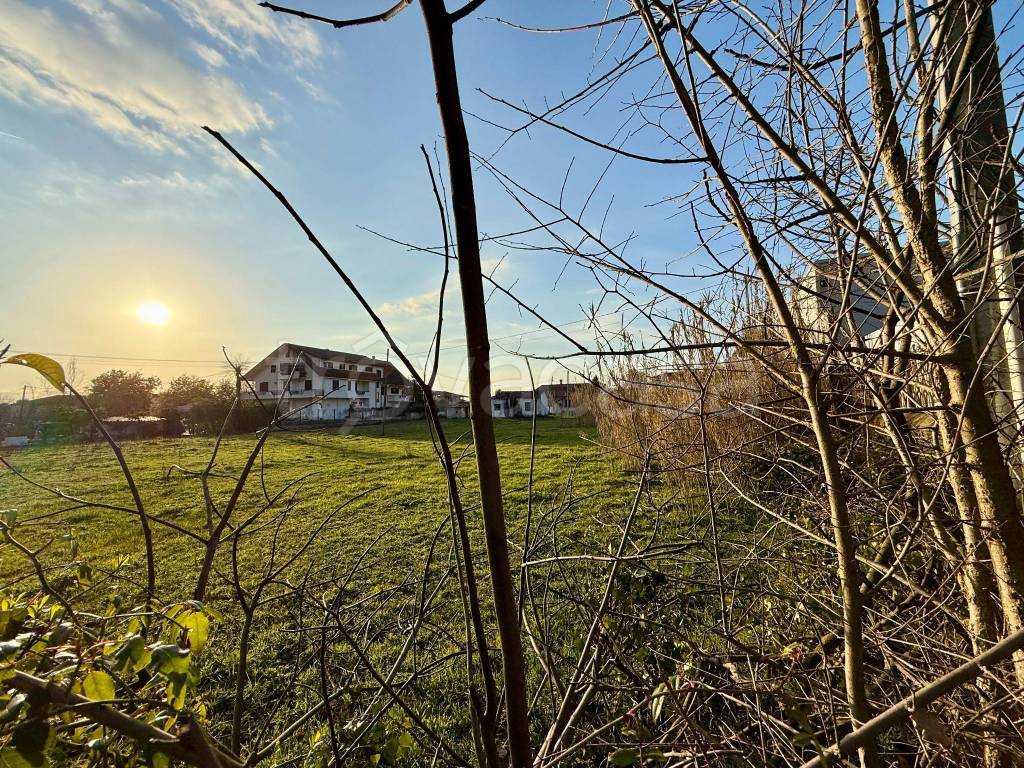 immagine annuncio 6 di 7