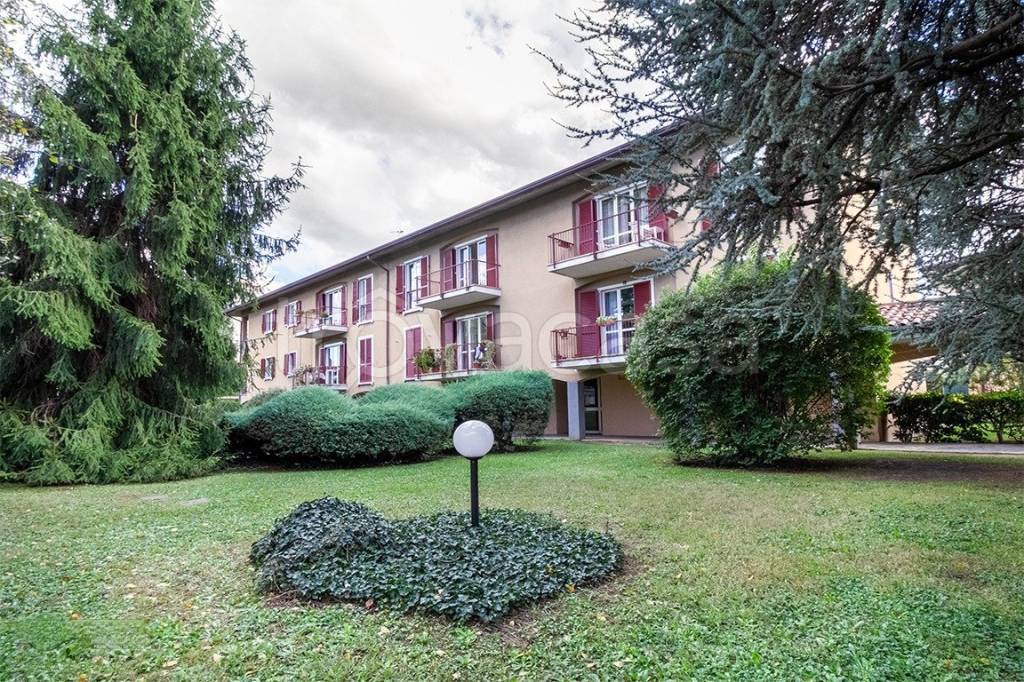 immagine annuncio 12 di 13