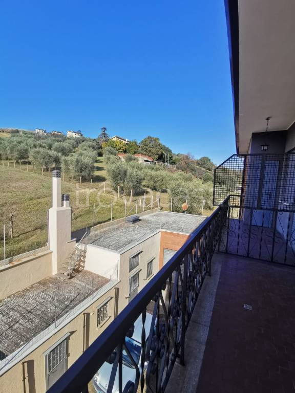 immagine annuncio 8 di 12