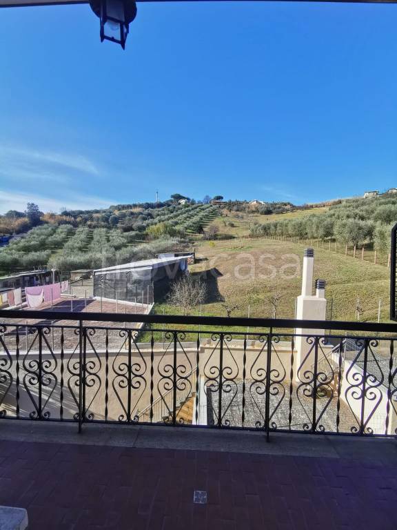 immagine annuncio 11 di 12