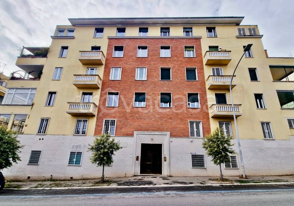 immagine annuncio 9 di 11