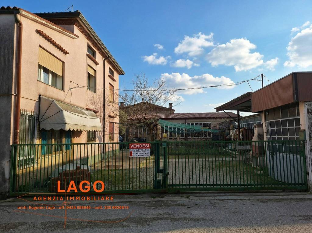 immagine annuncio 3 di 6