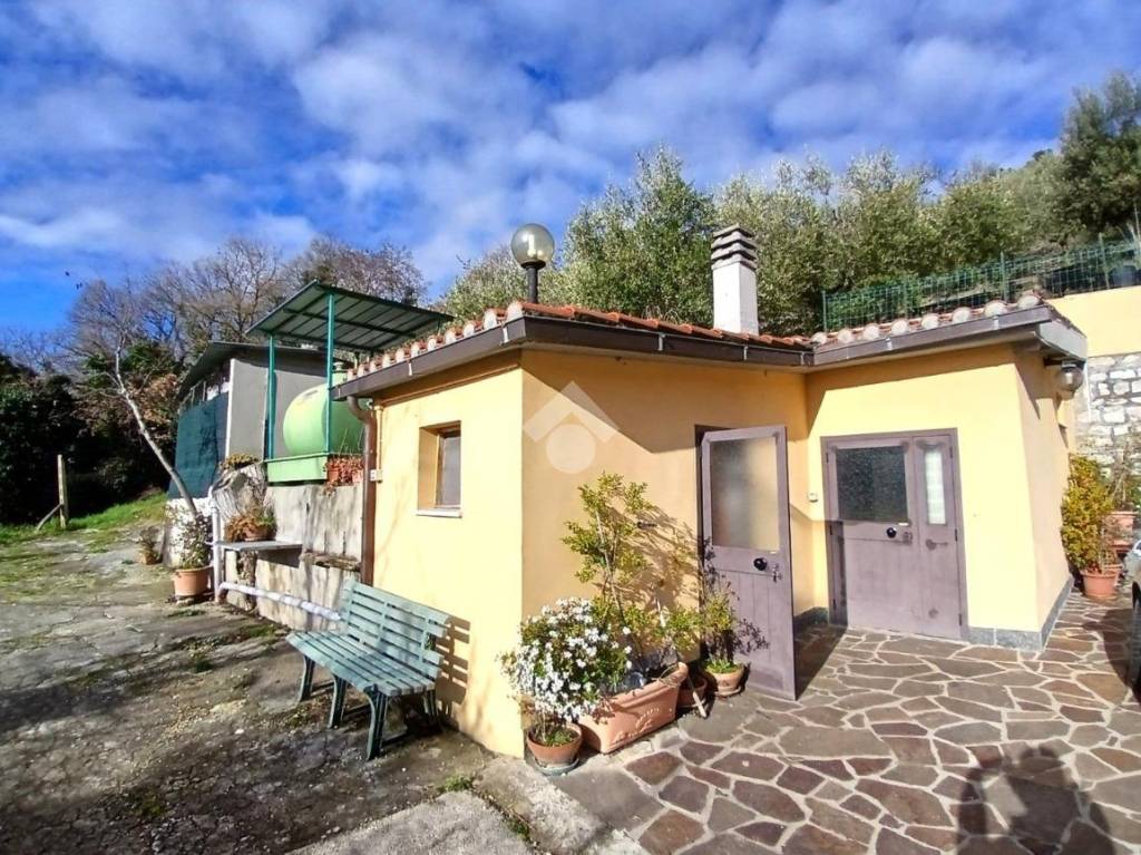 immagine annuncio 1 di 6