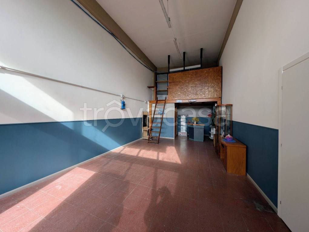 immagine annuncio 1 di 9