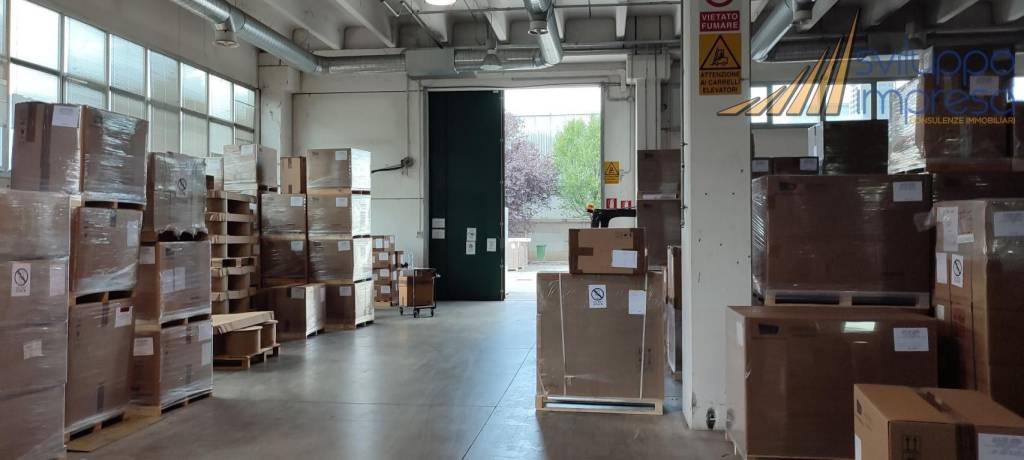 immagine annuncio 5 di 15