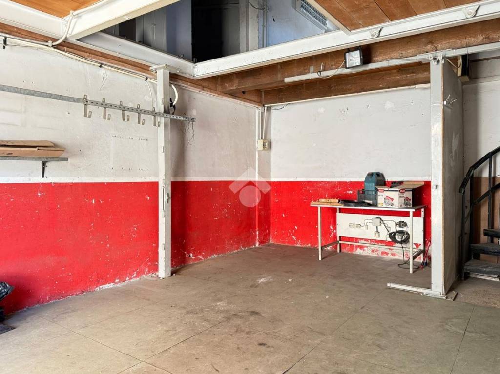 immagine annuncio 3 di 12