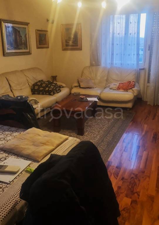 immagine annuncio 3 di 14