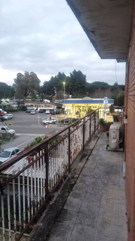 immagine annuncio 7 di 14