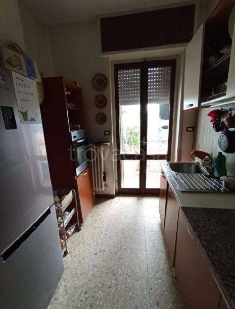 immagine annuncio 5 di 12