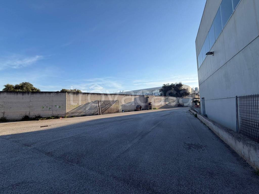 immagine annuncio 5 di 11