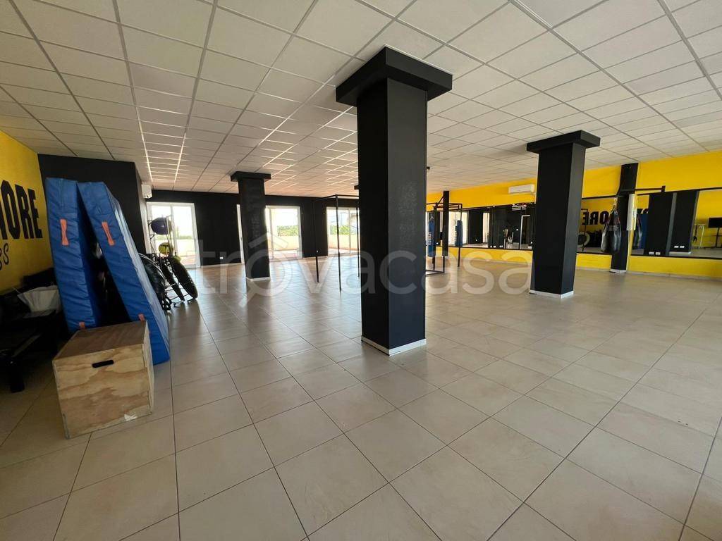 immagine annuncio 9 di 11