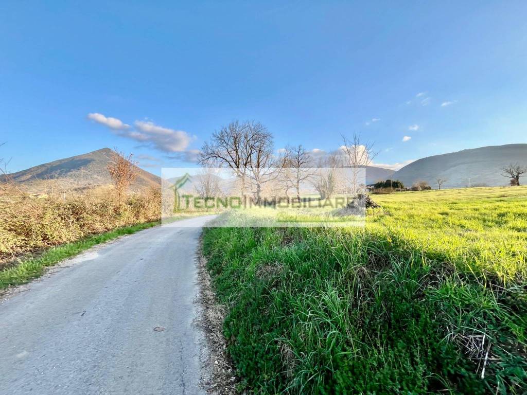 immagine annuncio 2 di 9