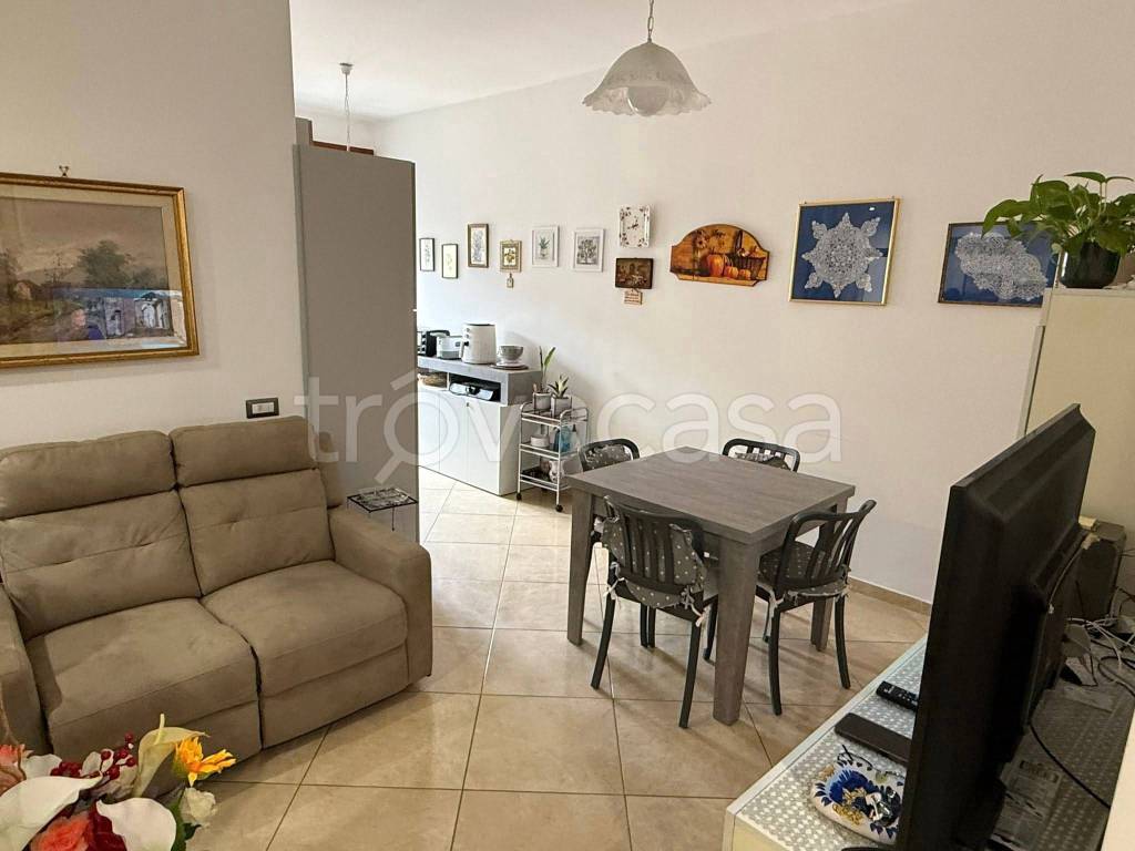 immagine annuncio 1 di 12