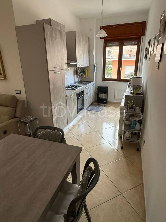 immagine annuncio 2 di 12