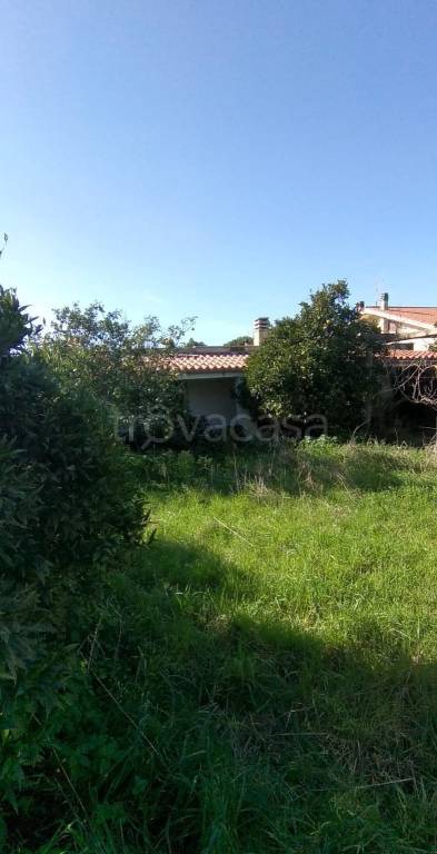 immagine annuncio 2 di 6