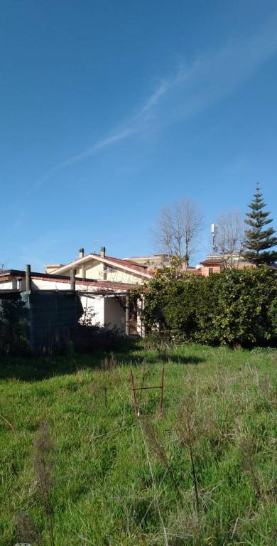 immagine annuncio 3 di 6