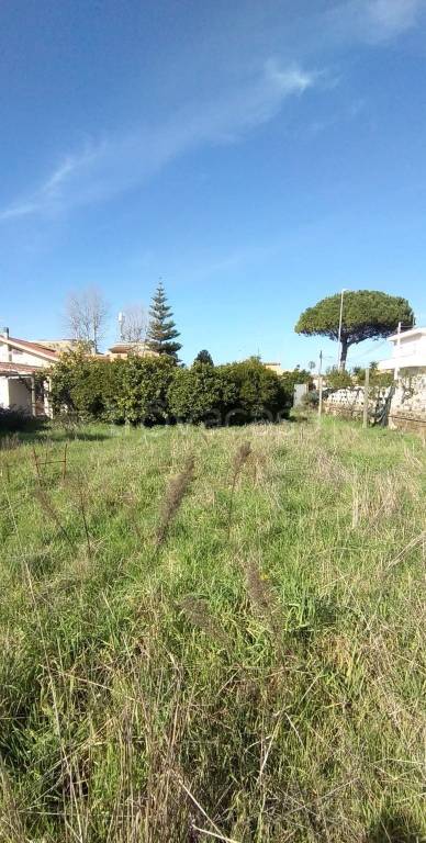 immagine annuncio 4 di 6