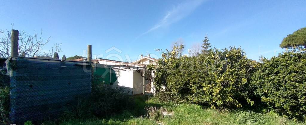 immagine annuncio 5 di 6