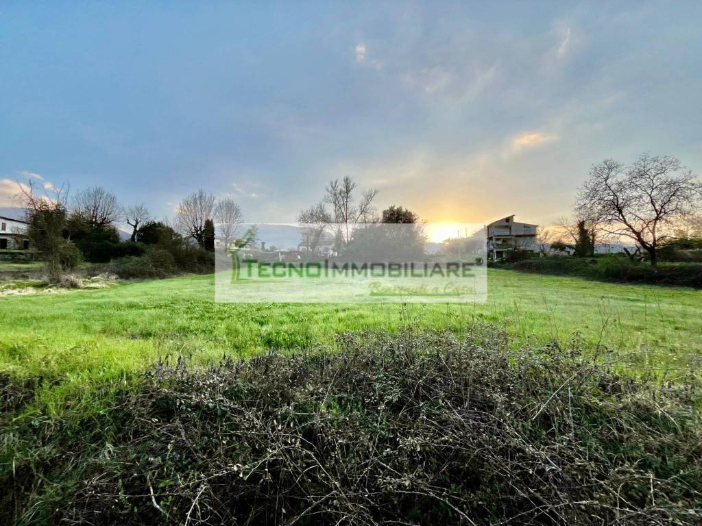 immagine annuncio 3 di 7