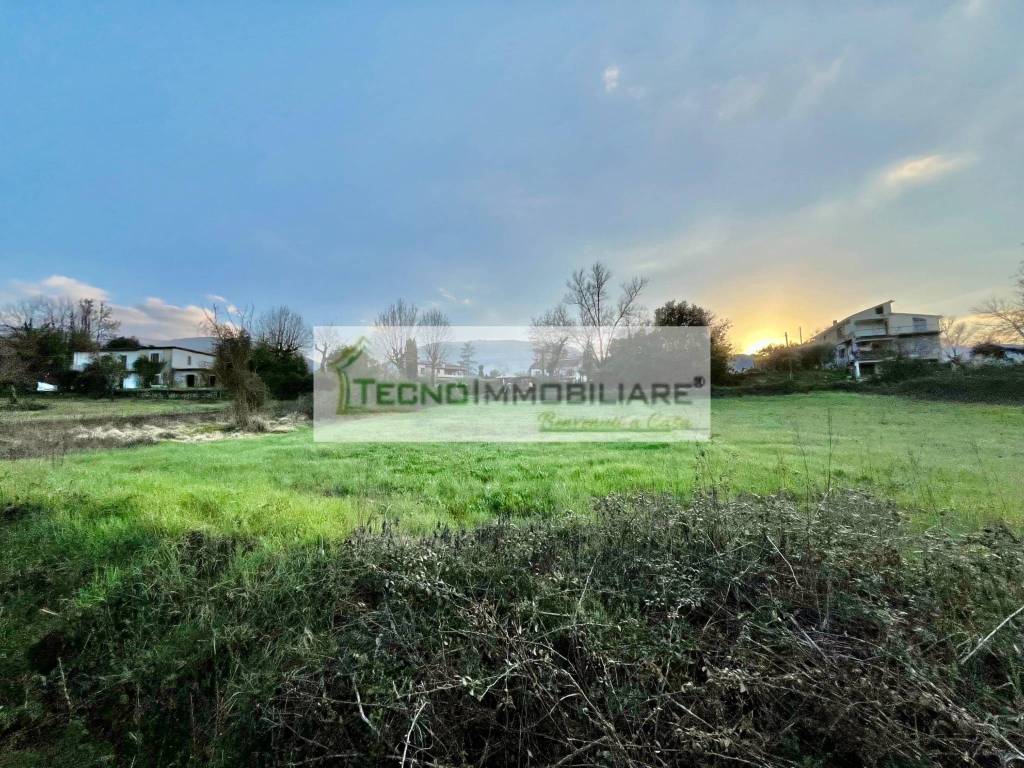 immagine annuncio 4 di 7