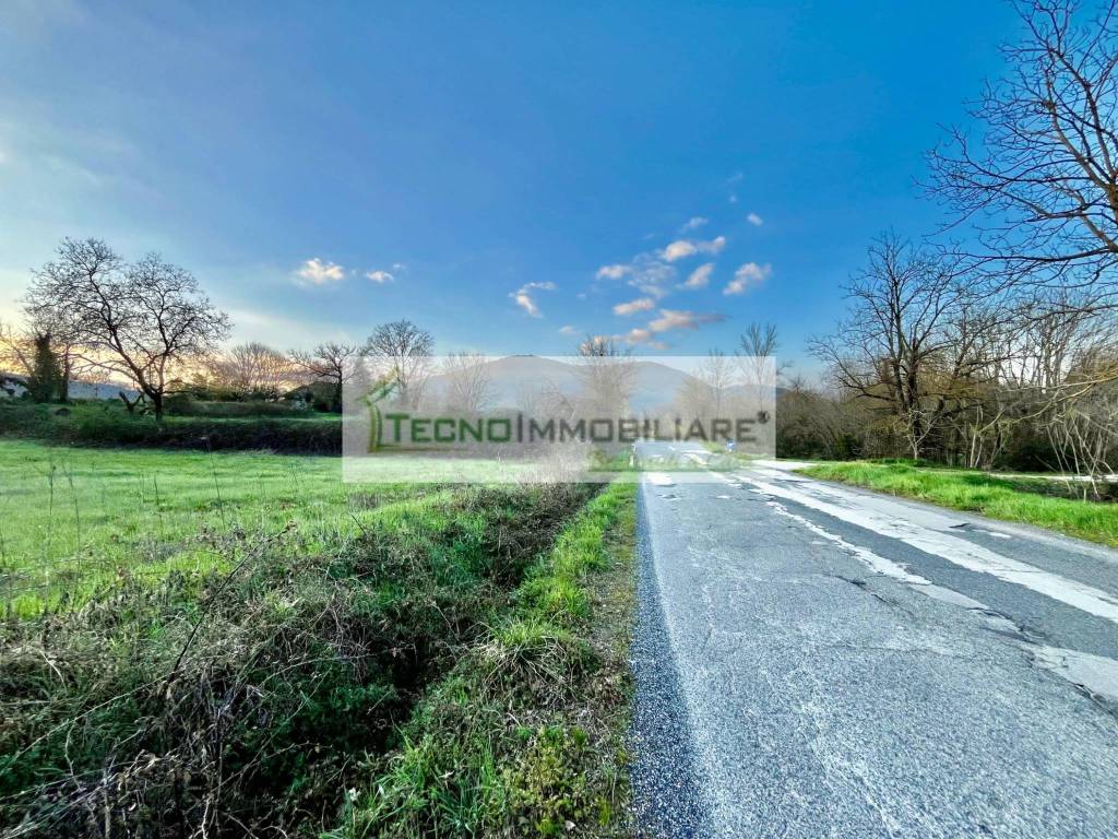 immagine annuncio 2 di 7