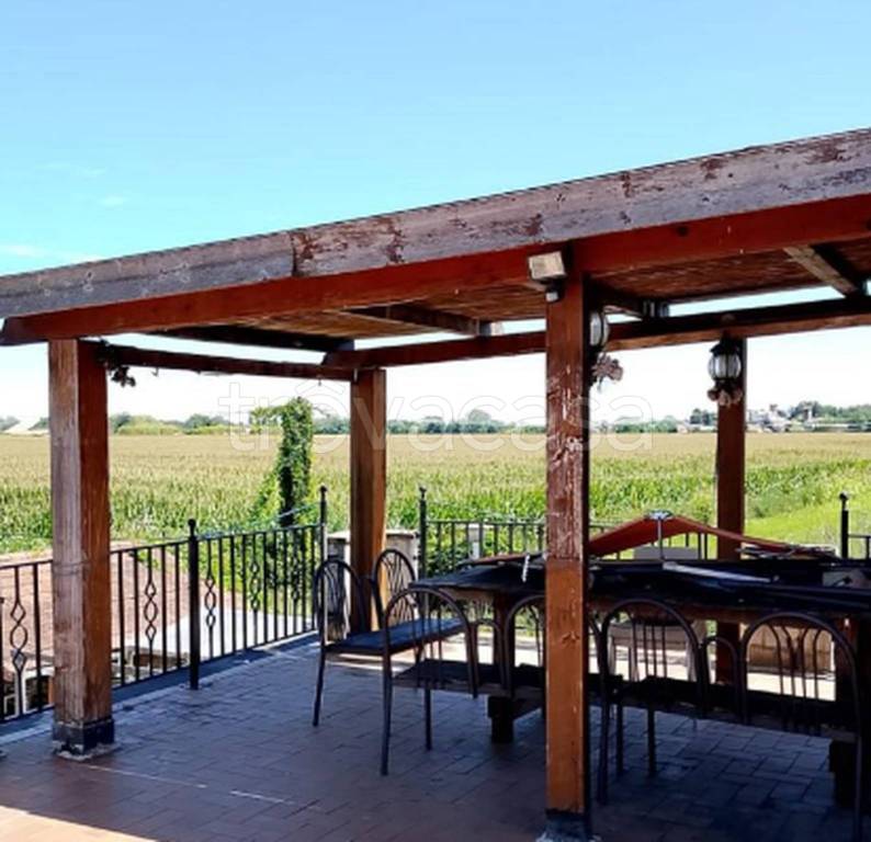 immagine annuncio 9 di 12