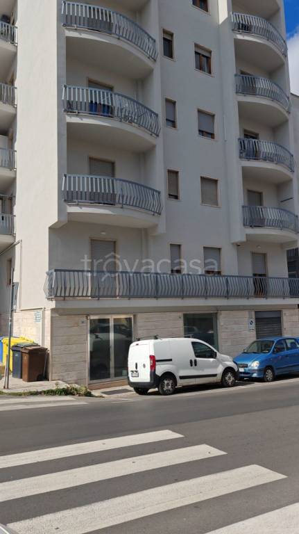 immagine annuncio 1 di 14