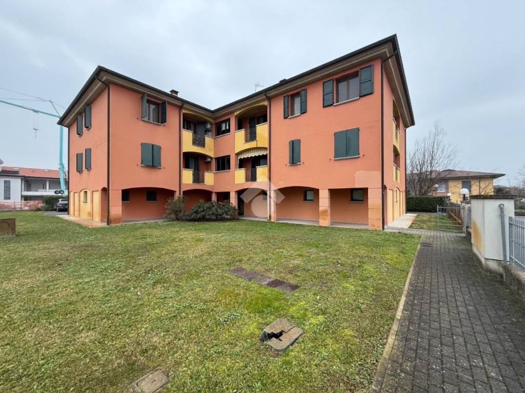 immagine annuncio 5 di 15