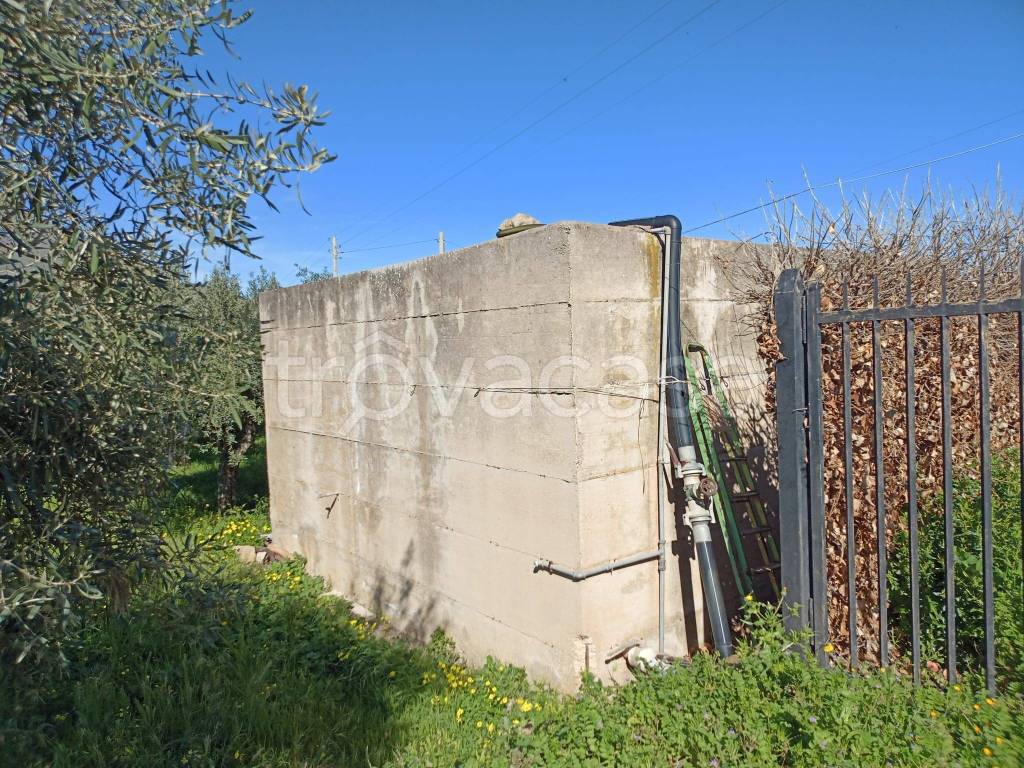 immagine annuncio 6 di 8