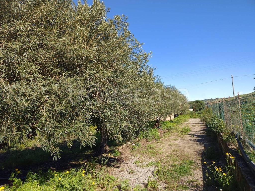 immagine annuncio 4 di 8