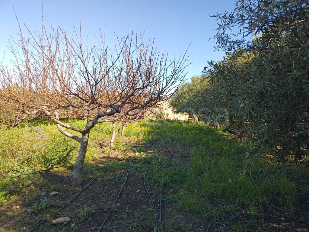 immagine annuncio 7 di 8