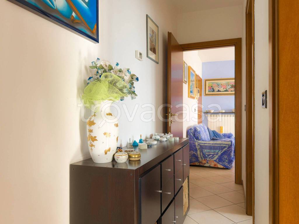 immagine annuncio 9 di 14