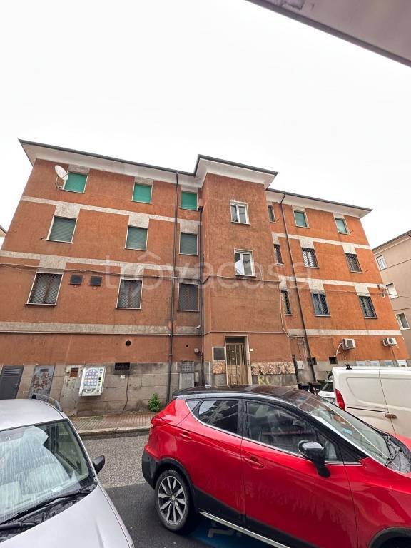 immagine annuncio 3 di 13