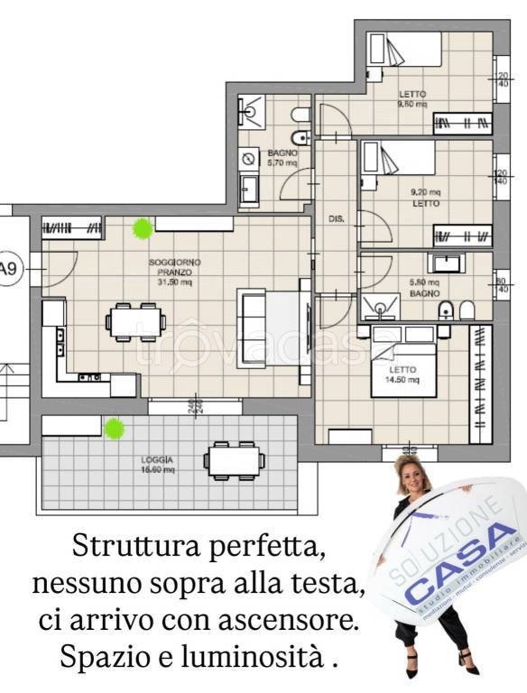 immagine annuncio 11 di 15