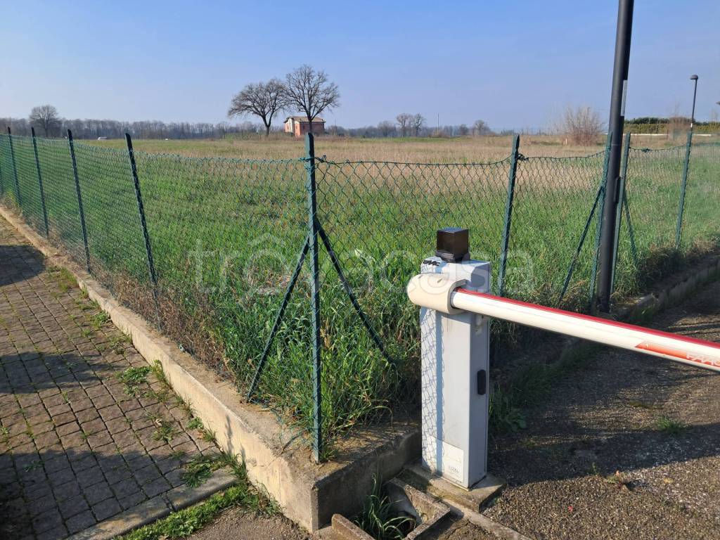 immagine annuncio 2 di 4