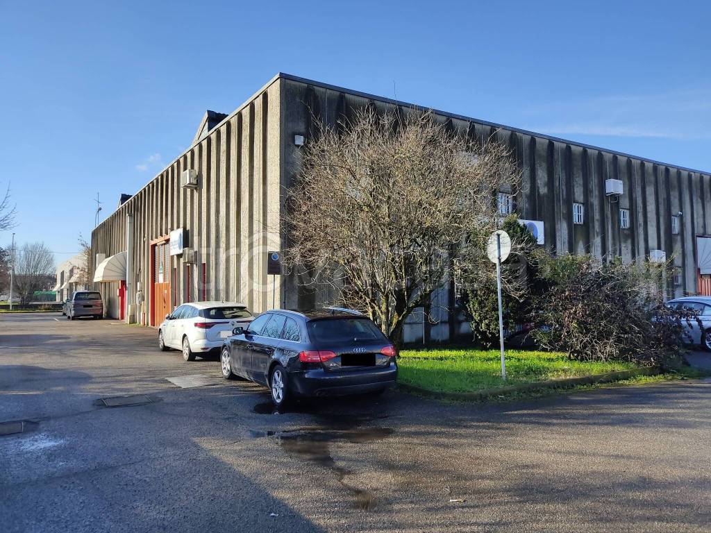 immagine annuncio 2 di 15