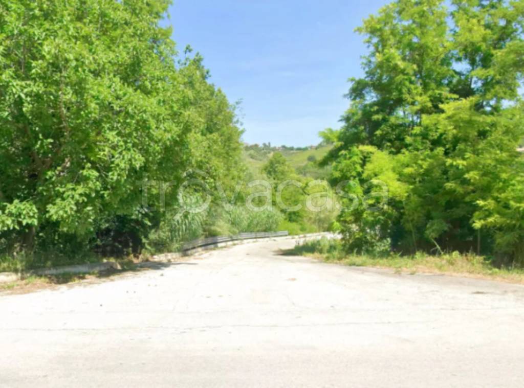 immagine annuncio 2 di 11