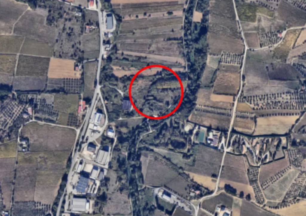 immagine annuncio 10 di 11