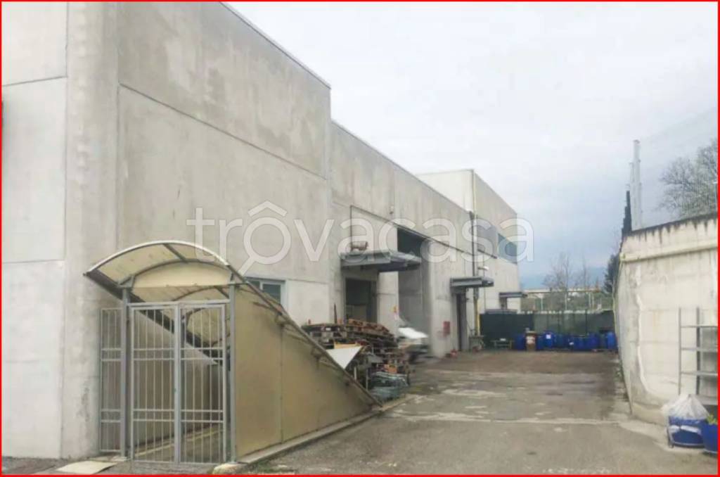 immagine annuncio 3 di 11