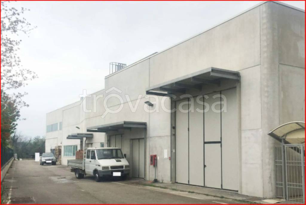 immagine annuncio 5 di 11