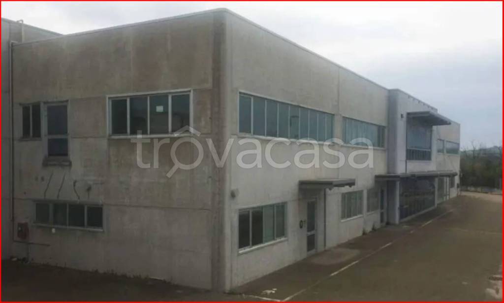 immagine annuncio 2 di 11