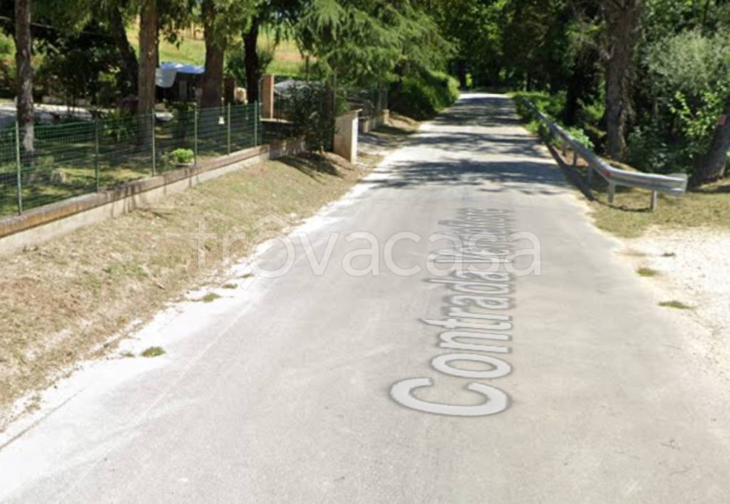 immagine annuncio 9 di 11