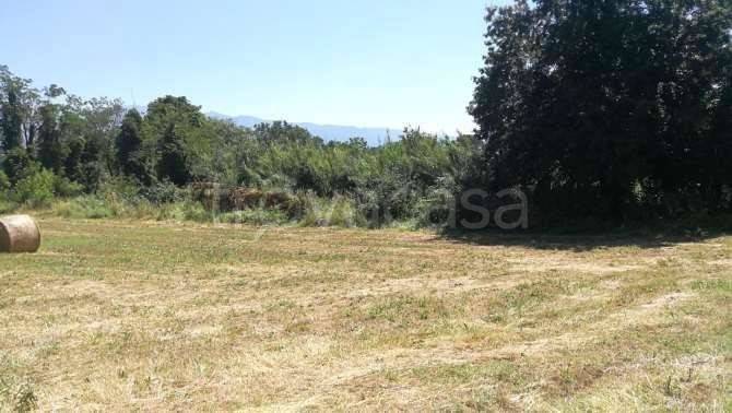 immagine annuncio 4 di 7